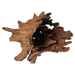 Corbo Root