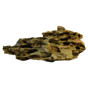 Dragon Rock