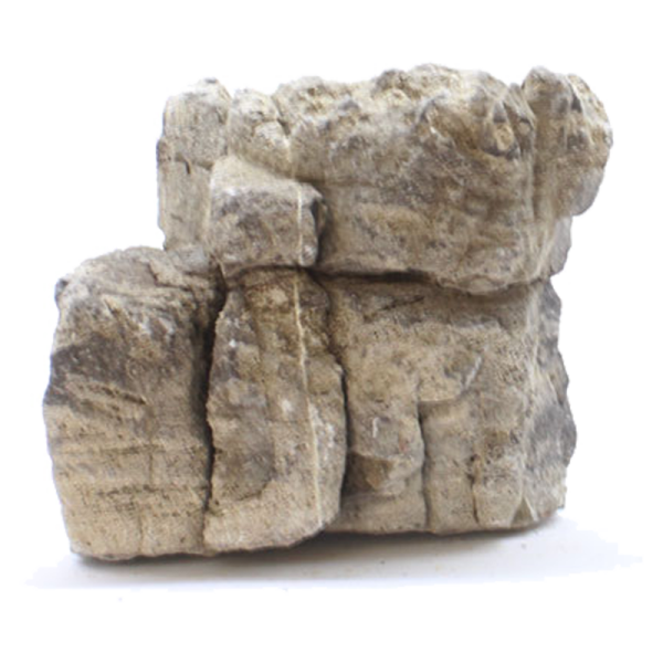 Elephant Skin