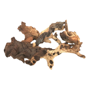 Mopani Root