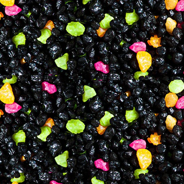 Neon Sprinkle